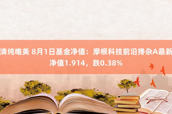 清纯唯美 8月1日基金净值：摩根科技前沿搀杂A最新净值1.914，跌0.38%