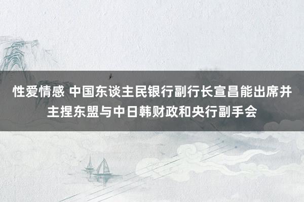 性爱情感 中国东谈主民银行副行长宣昌能出席并主捏东盟与中日韩财政和央行副手会