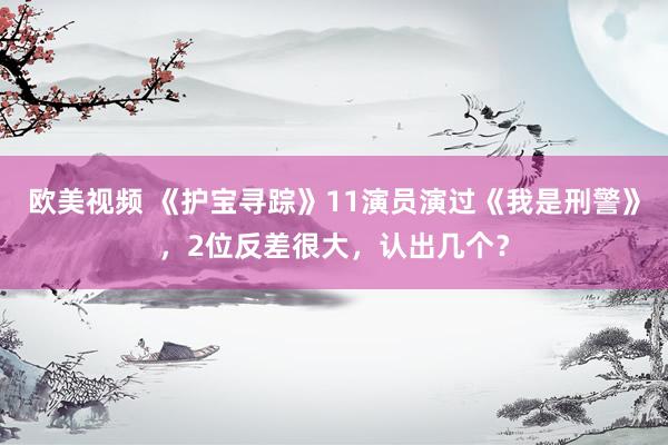 欧美视频 《护宝寻踪》11演员演过《我是刑警》，2位反差很大，认出几个？