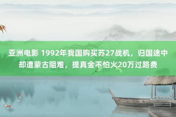 亚洲电影 1992年我国购买苏27战机，归国途中却遭蒙古阻难，提真金不怕火20万过路费