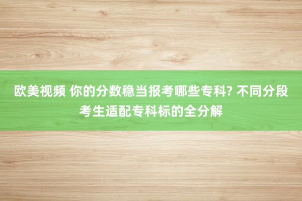 欧美视频 你的分数稳当报考哪些专科? 不同分段考生适配专科标的全分解