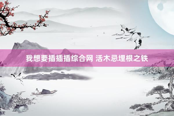 我想要插插插综合网 活木忌埋根之铁