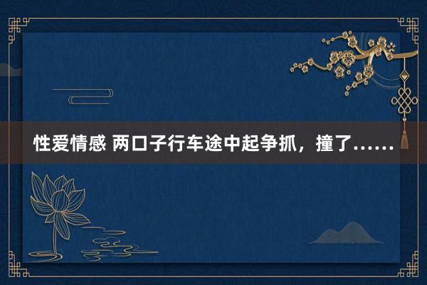 性爱情感 两口子行车途中起争抓，撞了……