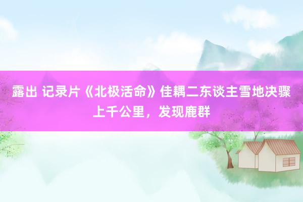 露出 记录片《北极活命》佳耦二东谈主雪地决骤上千公里，发现鹿群