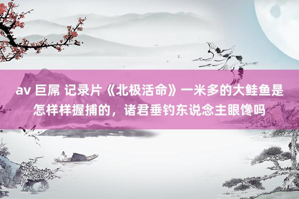 av 巨屌 记录片《北极活命》一米多的大鲑鱼是怎样样握捕的，诸君垂钓东说念主眼馋吗
