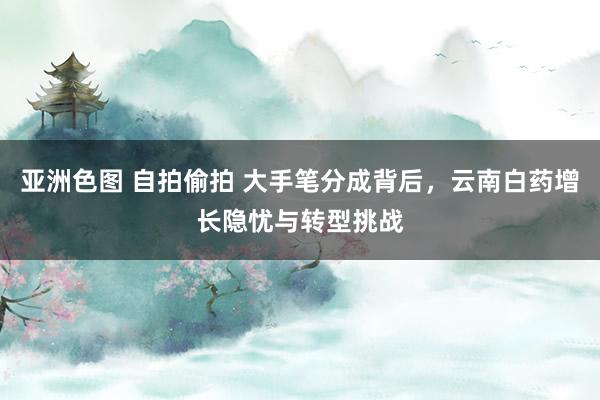 亚洲色图 自拍偷拍 大手笔分成背后，云南白药增长隐忧与转型挑战